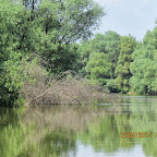 IMG_7756.JPG
