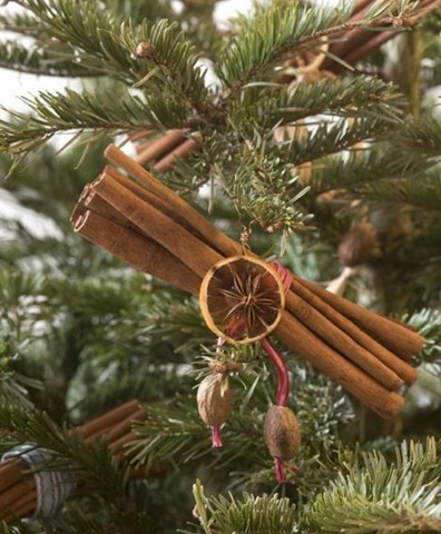 [naturaldiychristmasornaments10.jpg]