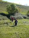 P1020343.jpg