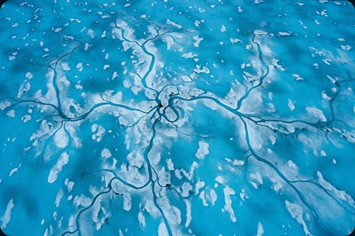 IMAGE IS FOR YOUR ONE-TIME EXCLUSIVE USE ONLY FOR MEDIA PROMOTION OF THE NATIONAL GEOGRAPHIC BOOK "POLAR OBSESSION." NO SALES, NO TRANSFERS.
©2009 Paul Nicklen / National Geographic
In the Arctic spring, meltwater channels drain toward and down a seal hole, returning to the sea. (p. 71)
