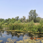 DSCN8305.JPG