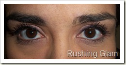 Brown Eyes Purple Eyeliner (1)