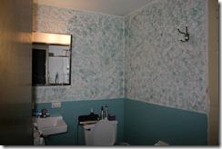 IMG_1851 IMG_1851
