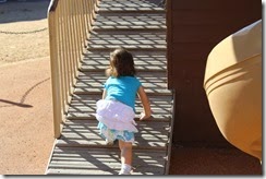 IMG_6510 IMG_6510
