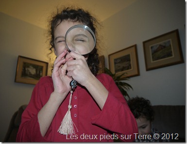 P1010584 P1010584