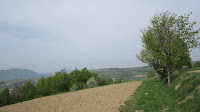 IMG_3428.JPG