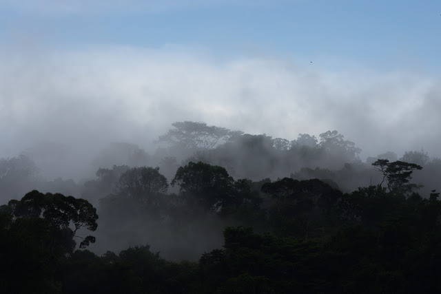 Après la la pluie. Les Carbets de Coralie (Crique Yaoni), 2 novembre 2012. Photo : J.-M. Gayman
