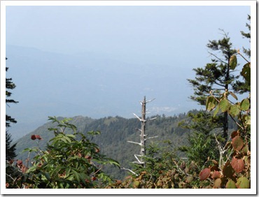 gatlinburg-from-the-mountain_thumb2