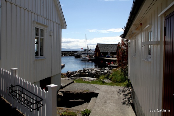 IMG 9855