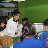 Ferias en Isla de Maipo
