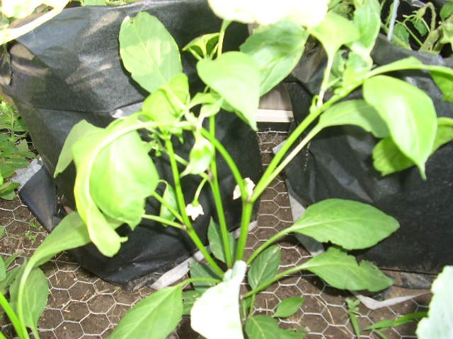 [DSCI0079%255B4%255D.jpg]