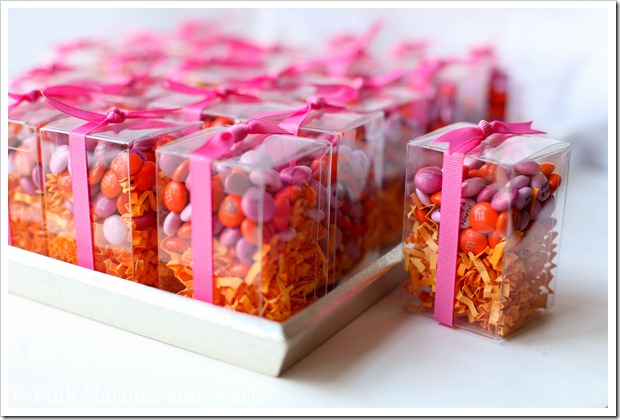 Palooza Party Favors3