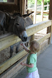 IMG_7453.JPG