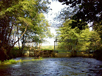 DSC05583.JPG Photo