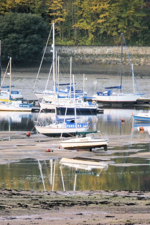 [estuary%2520009%255B5%255D.jpg]