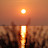 2 - Suíça (Parte 2) - 29/09/2011 à 02/10/2011