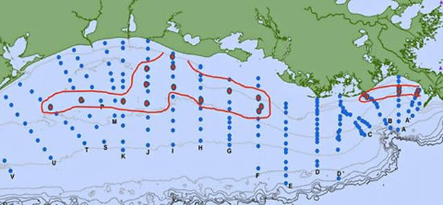The dead zones in the Gulf of Mexico, outlined in red, were far smaller than those in 2011 when measured at the end of July 2012. Red dots indicate stations for which the bottom-water oxygen concentration was less than 2 mg/L. Louisiana Universities Marine Consortium