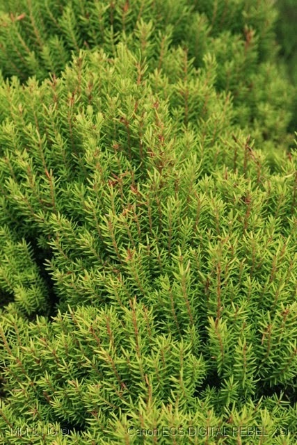 [IMG_9904%255B4%255D.jpg]