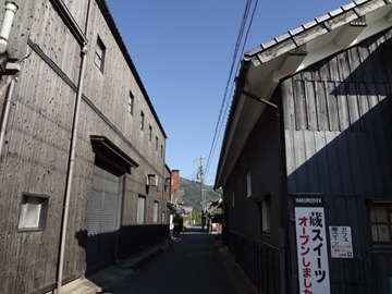 DSC08155 DSC08155