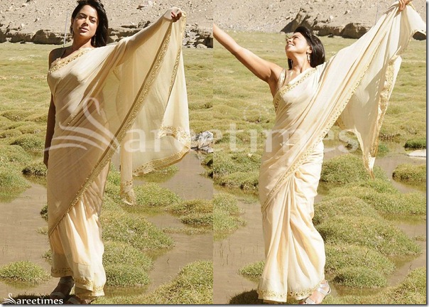 Sameera_Reddy_Cream_Georgette_Saree