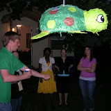 A Turtle Pinata