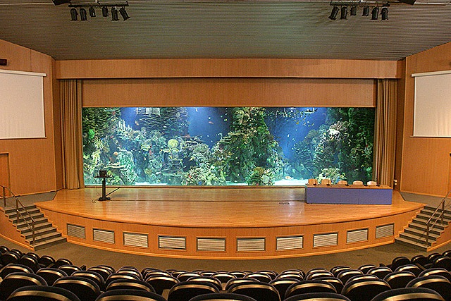 [eventos-oceanografic-01%255B6%255D.jpg]