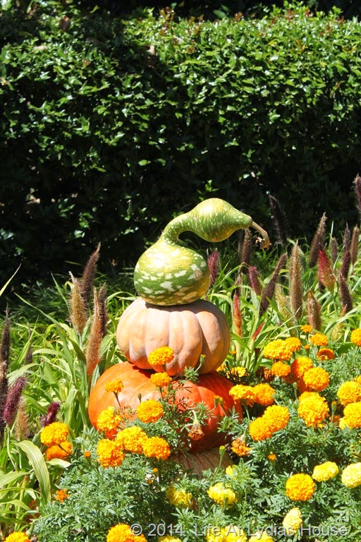 [Dallas-Arboretum---pumpkin-festival-%255B33%255D.jpg]