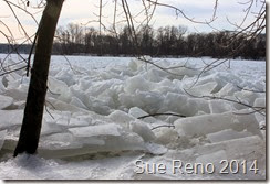 SueReno_SusquehannaRiverIce_Feb2014_Image11