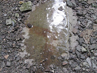 glenwood 058.jpg