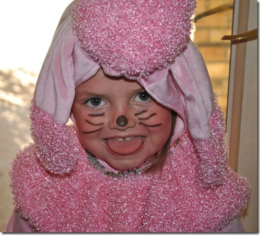 halloween shelby