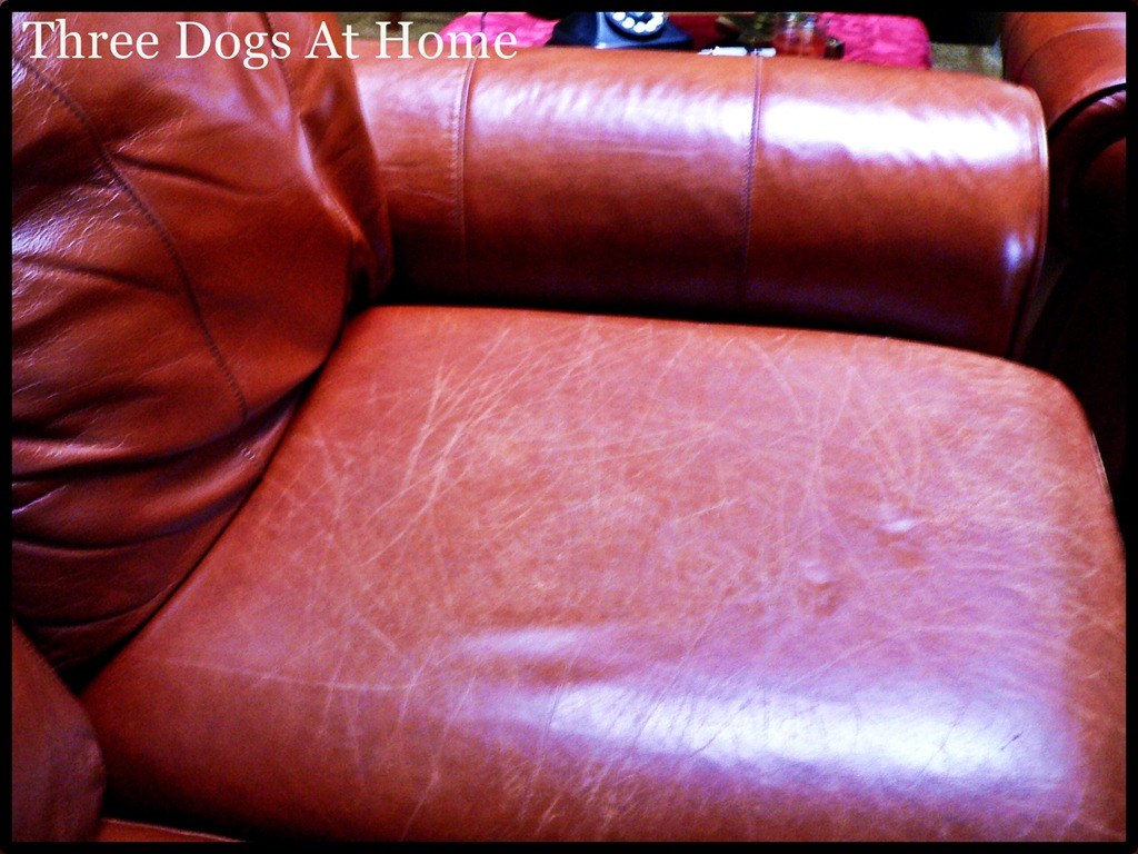 [couch-polishing-23.jpg]
