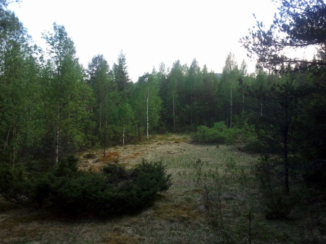 [2011-06-08%25252020.14.46%255B8%255D.jpg]