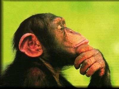 [monos%2520piensan%2520blogdeimagenes%2520%252813%2529%255B2%255D.jpg]