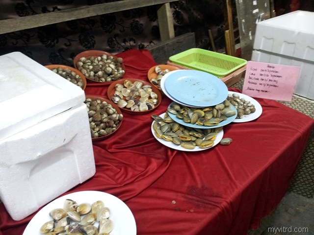 [lala%2520dan%2520Kerang%2520Segar%255B4%255D.jpg]