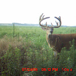 nichols deer 333.JPG