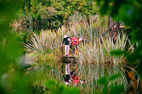 NZD2-12_PA&JK_95070017.jpg