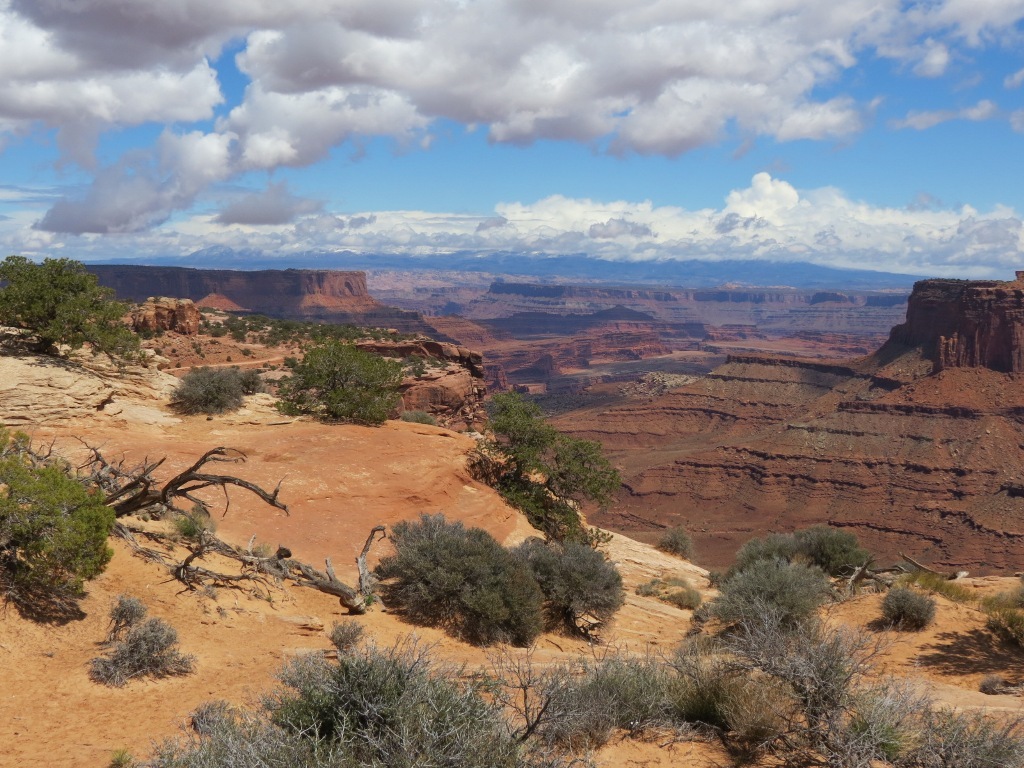 [moab_can_island_in_sky_view_13.jpg]