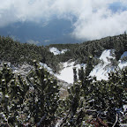 IMG_5952.JPG