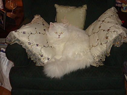 Zsa Zsa Gabor