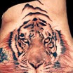 Tiger #2