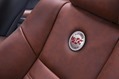 2014 Dodge Charger 100th Anniversary Edition 2014 Dodge Charger 100th Anniversary Edition