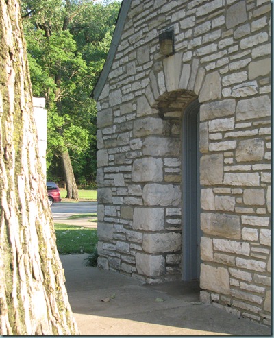 IMG_1390 IMG_1390