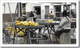 IMG_0283 IMG_0283