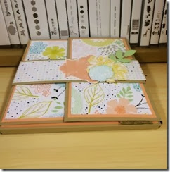 Photo Album 1a Photo Album 1a