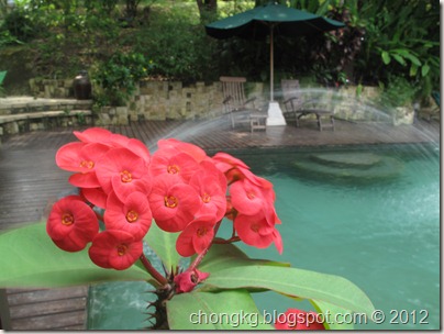 IMG_0703 IMG_0703