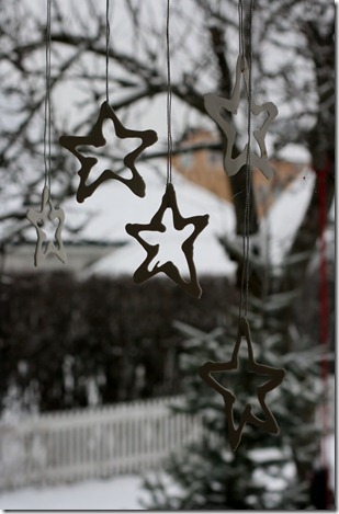 IMG_4534 IMG_4534