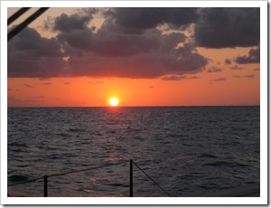 IMG_4464 IMG_4464