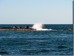 6975 Texas, South Padre Island - Osprey Cruises - Sea Life Safari  - end of Isla Blanca Park jetty