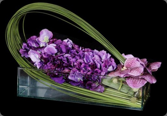 sleeping-beauty700-513x350 ovando