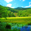 Forêt bavaroise - Lac Großer Arber